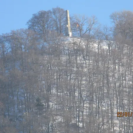 Witt - Annenburg